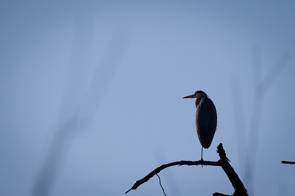 20110320-IMG_5505