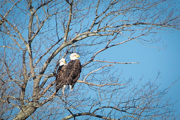 20201104-SA2A0309