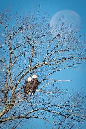 20201104-SA2A0311