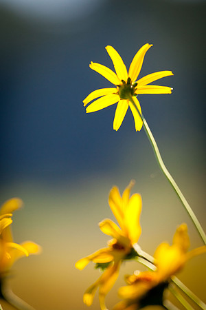 20110710-IMG_3133