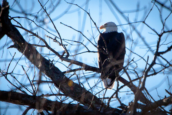 20101107-IMG_0303_nature