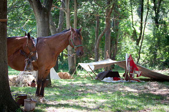 -Monmouth Battlefield 0045