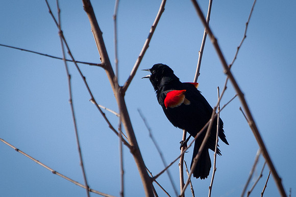 20110327-IMG_5529