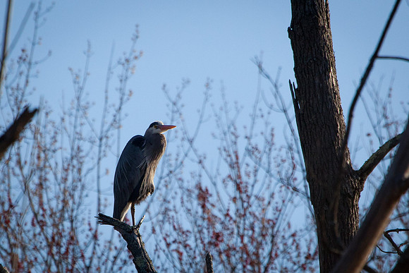 20110320-IMG_5519
