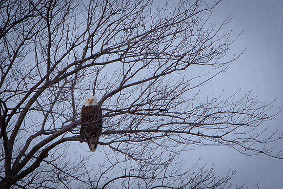 20101204-IMG_2411untitled